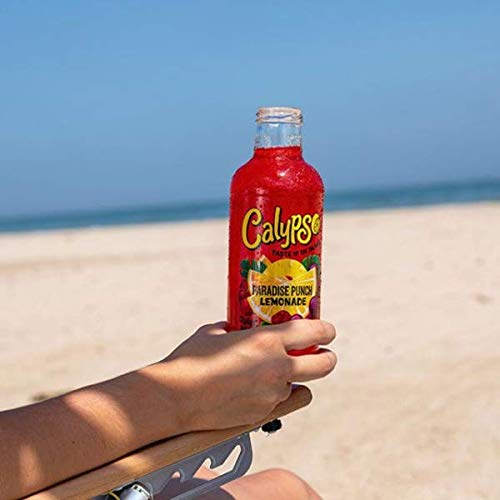 Calypso Lemonades – Real Fruit & Natural Flavors | 16 oz 12-Pack