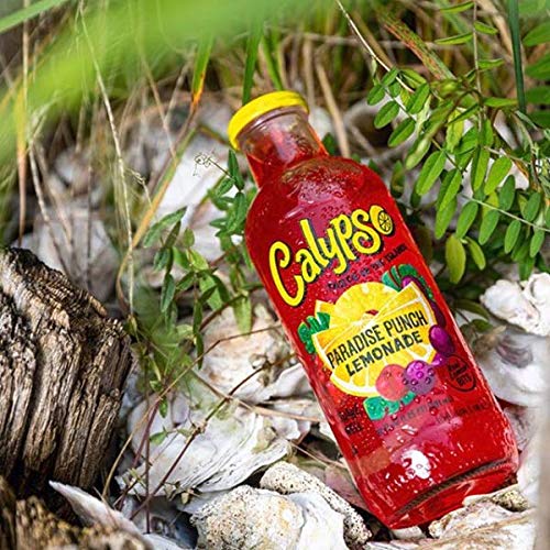 Calypso Lemonades – Real Fruit & Natural Flavors | 16 oz 12-Pack