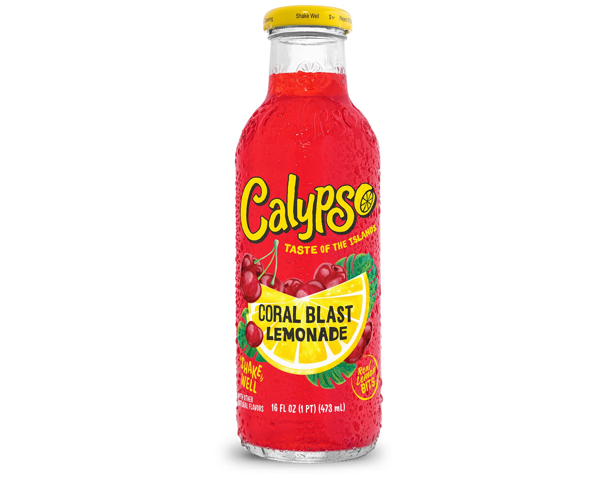 Calypso Lemonades – Real Fruit & Natural Flavors | 16 oz 12-Pack