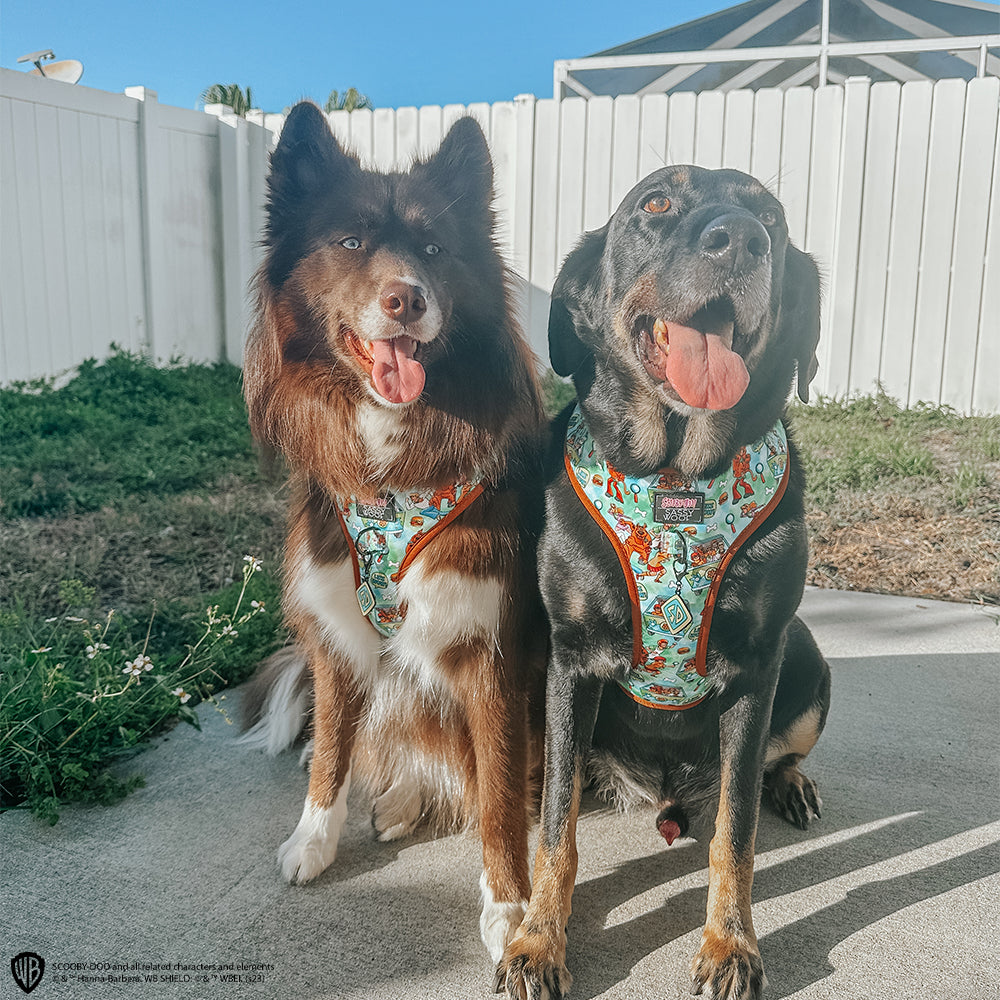 Dog Adjustable Harness - Scooby-Doo™