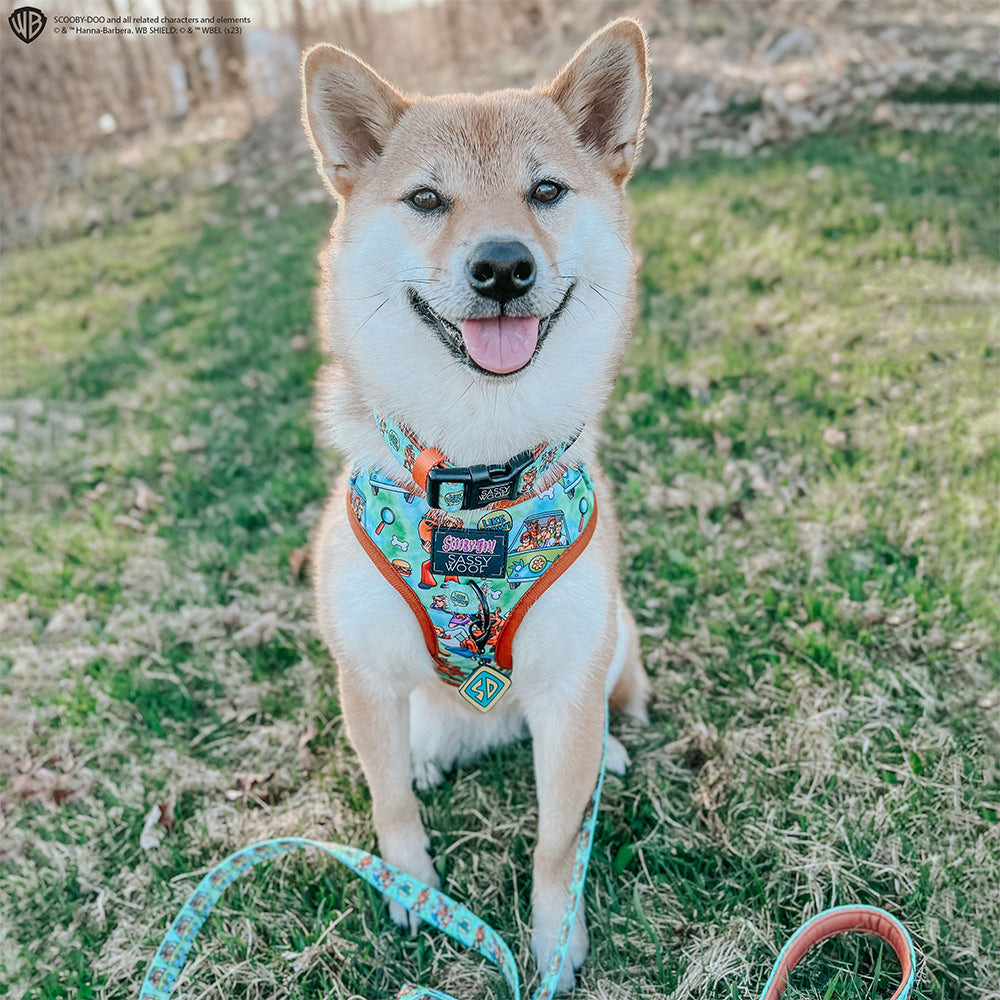 Dog Adjustable Harness - Scooby-Doo™