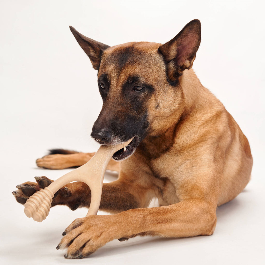 BetterBone MODERATE Chew Toy