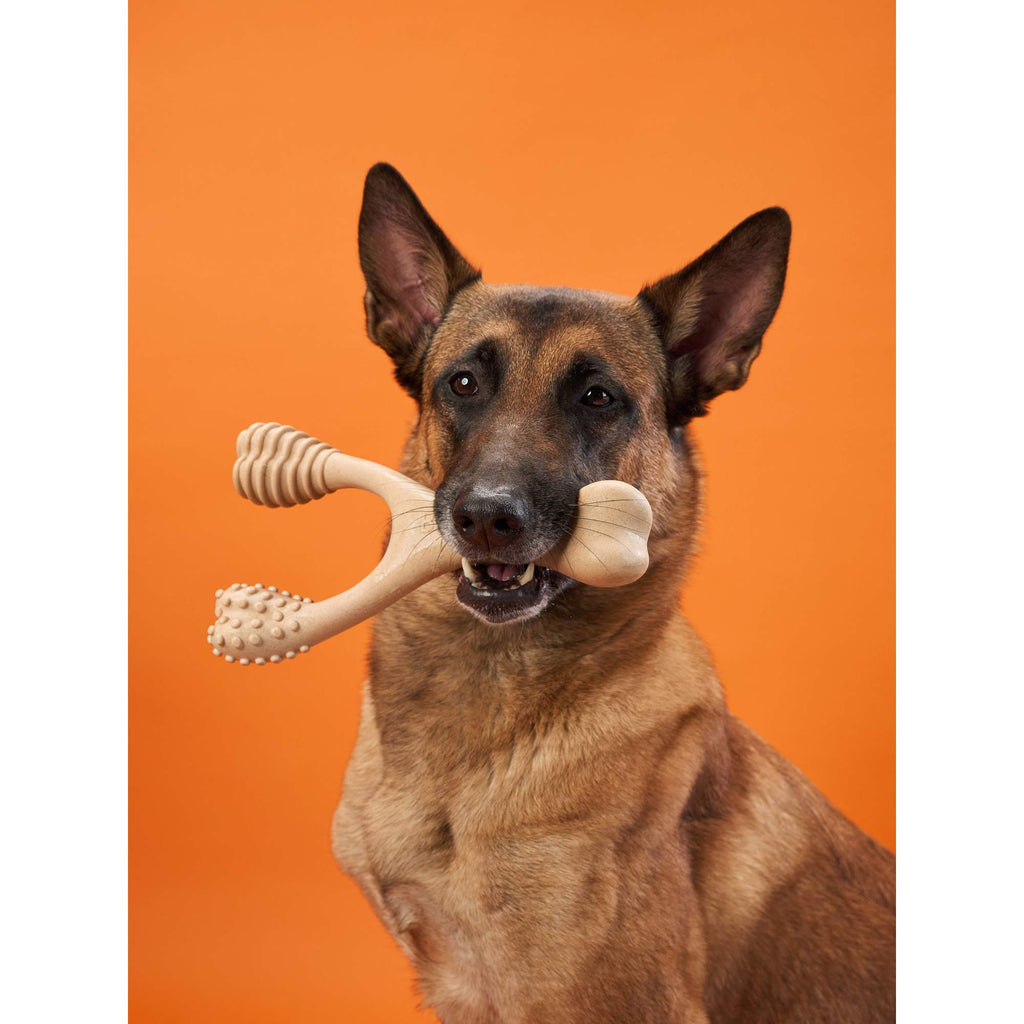 BetterBone HARD Chew Toy