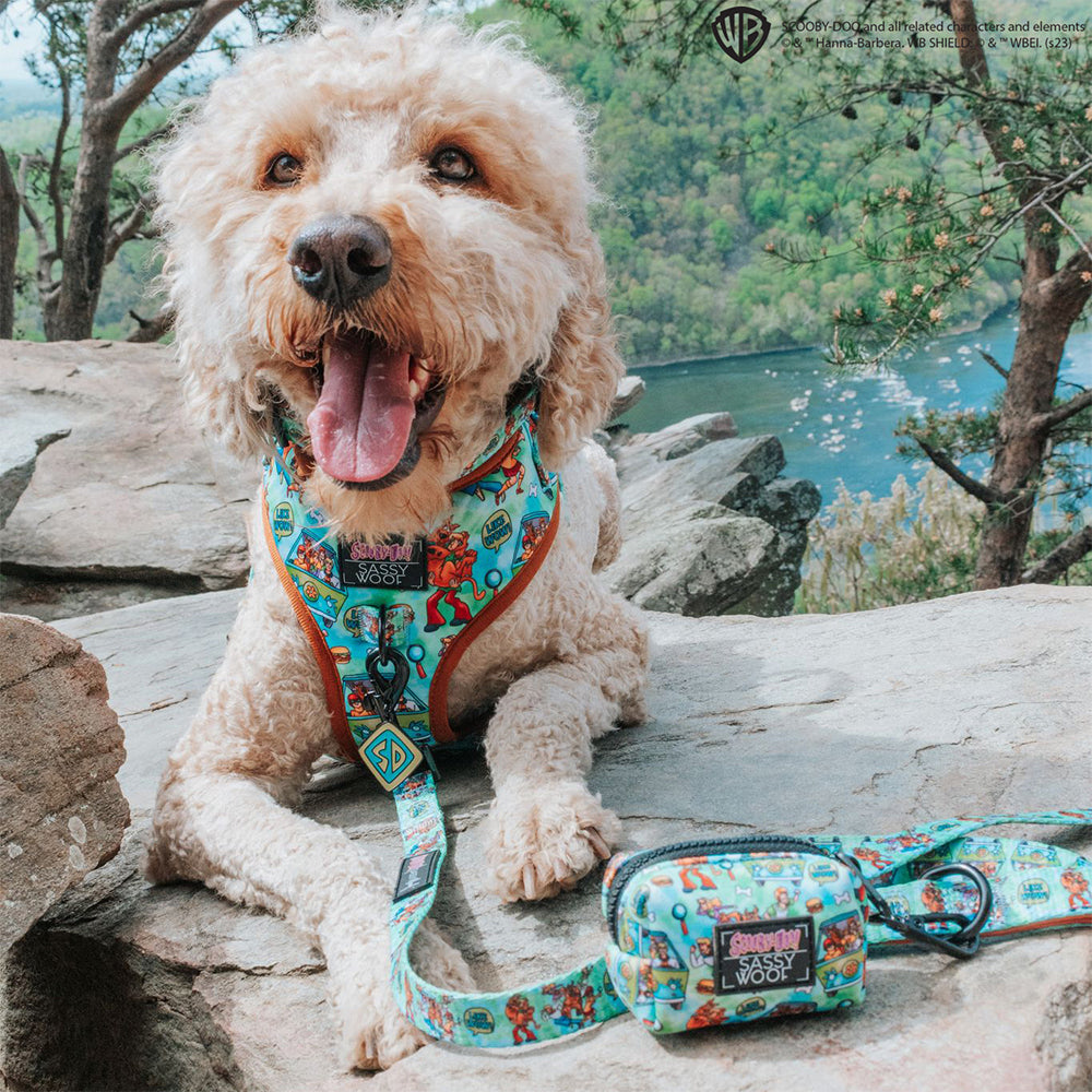 Dog Adjustable Harness - Scooby-Doo™