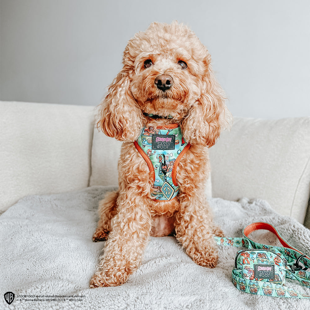 Dog Adjustable Harness - Scooby-Doo™