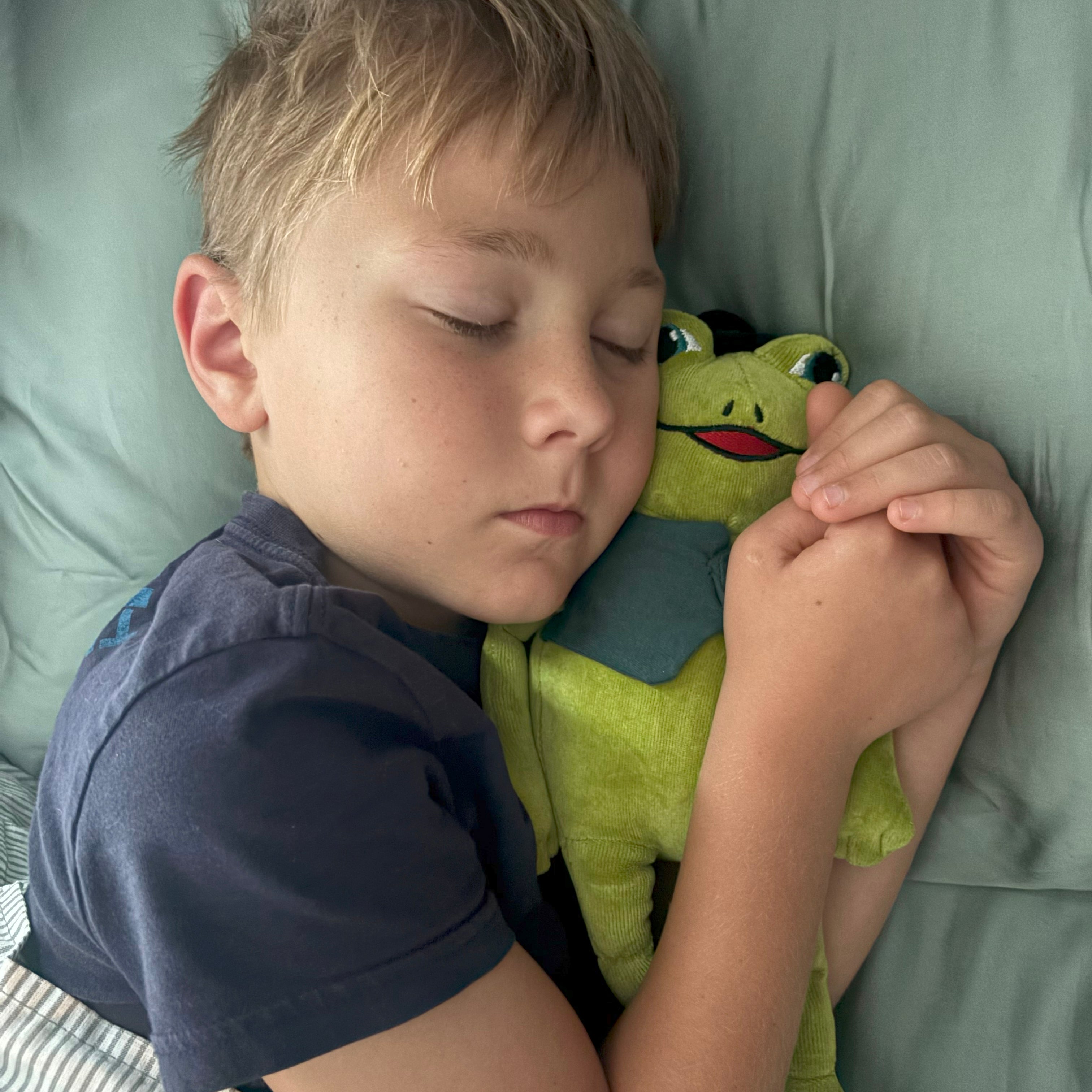 Frog: A World on Fire, Book Five & Organic Cotton Frog Plushie