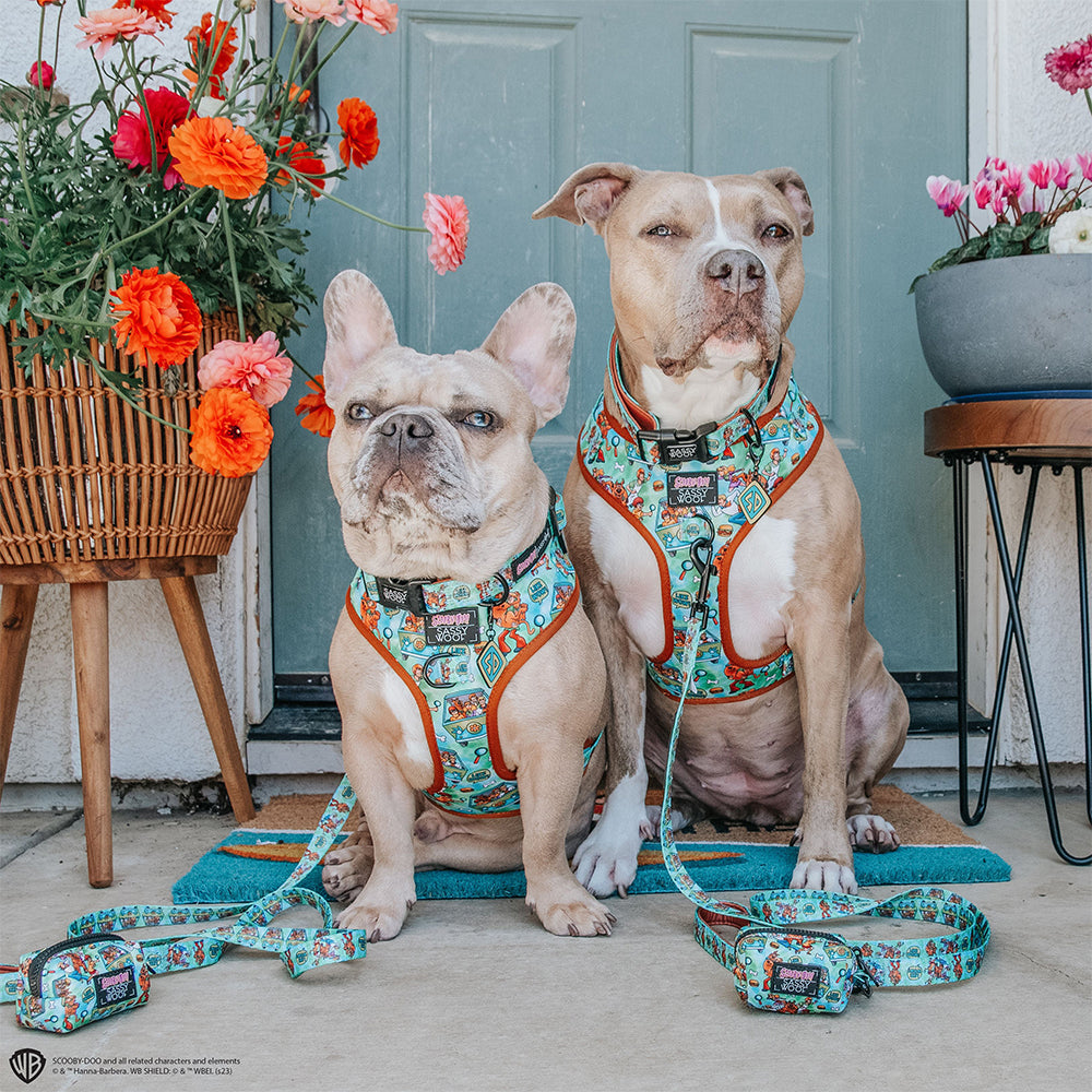 Dog Adjustable Harness - Scooby-Doo™
