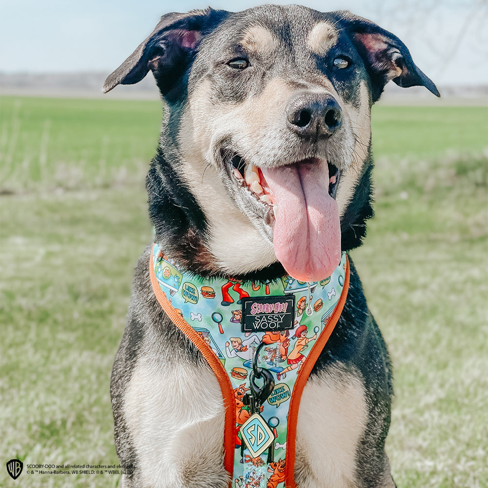 Dog Adjustable Harness - Scooby-Doo™
