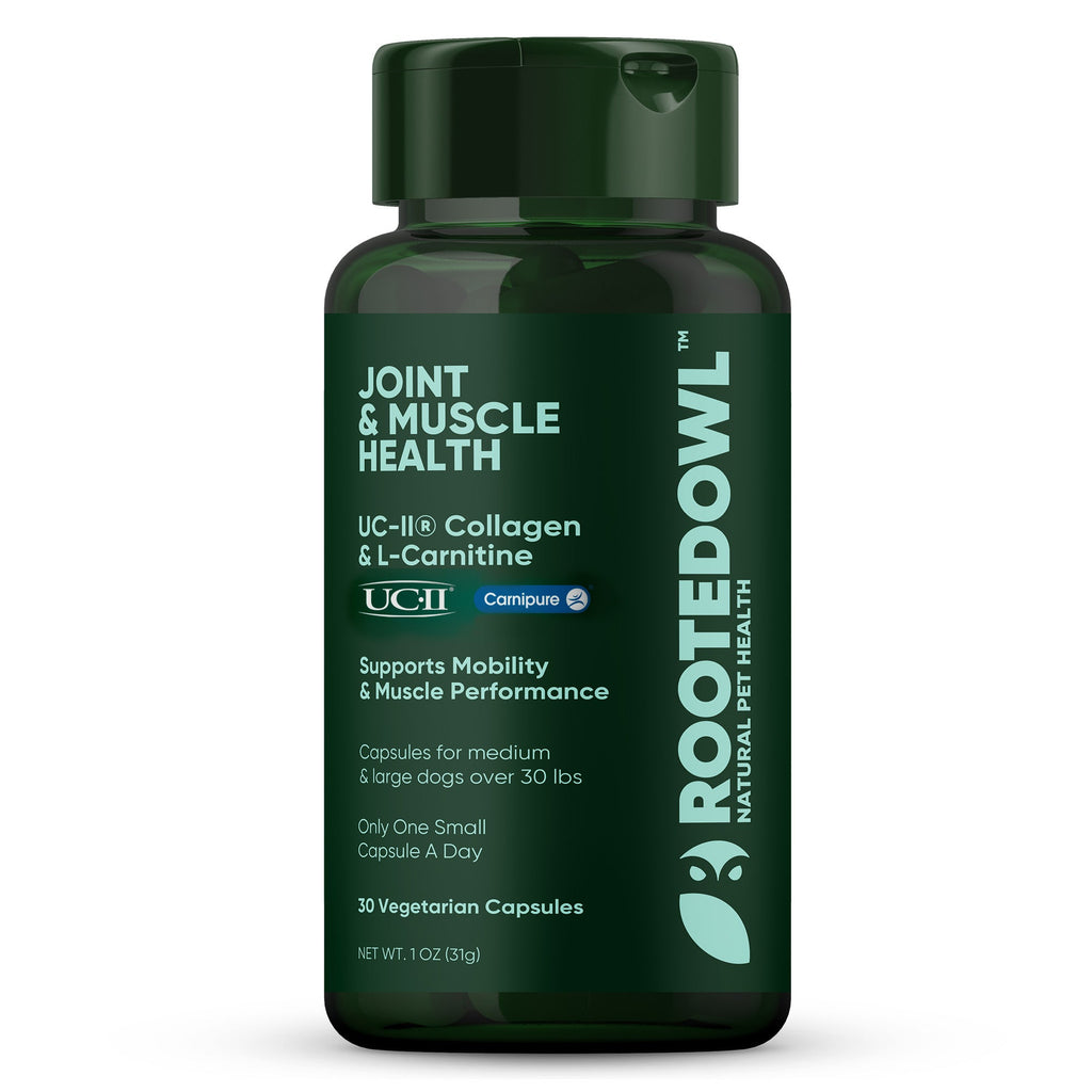 Joint & Muscle Health (Medium & Large Dogs)