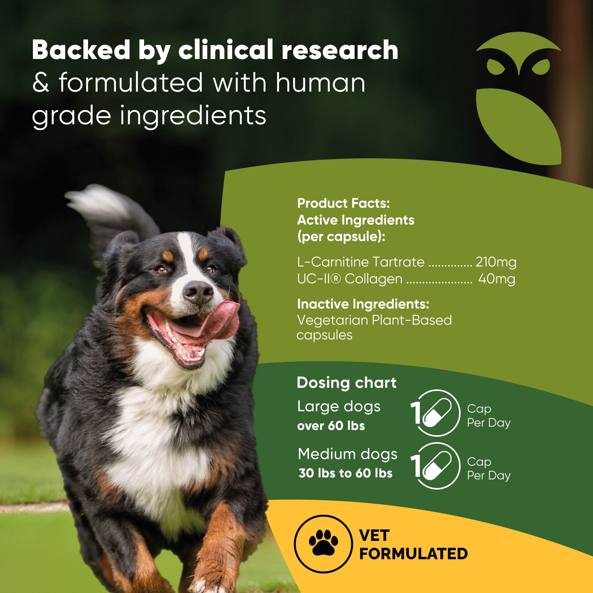 Joint & Muscle Health (Medium & Large Dogs)