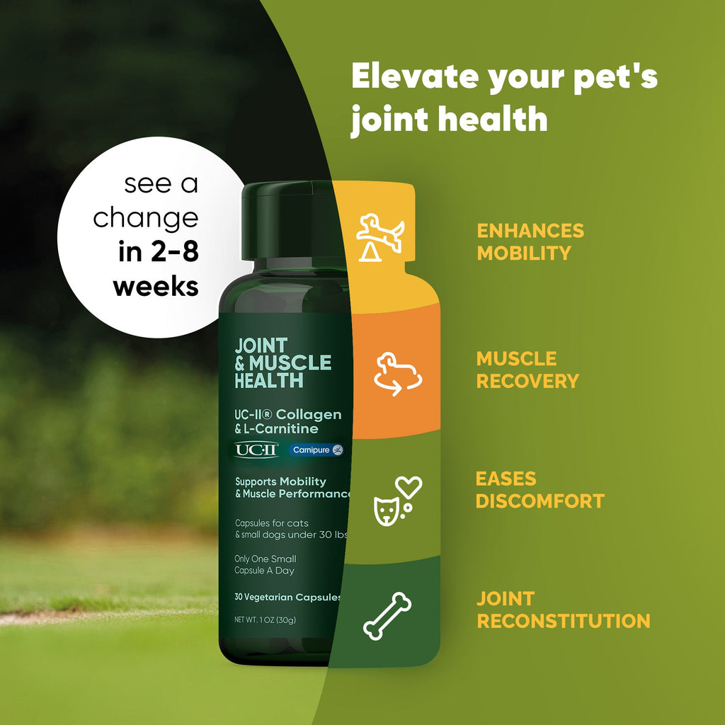 Joint & Muscle Health (Medium & Large Dogs)