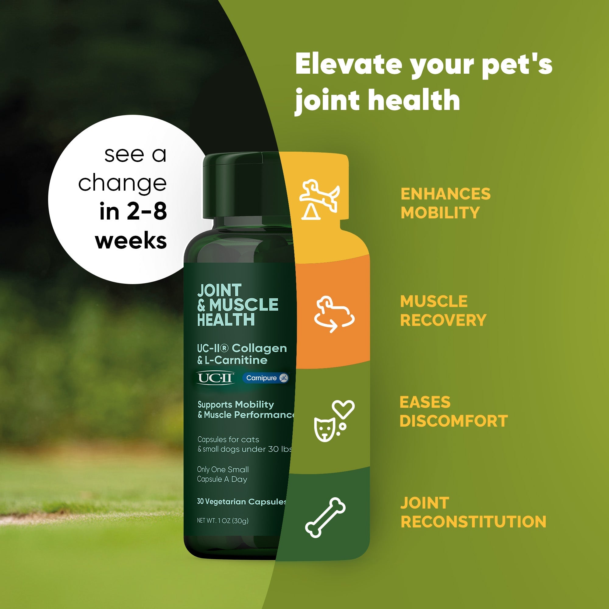Joint & Muscle Health (Medium & Large Dogs)