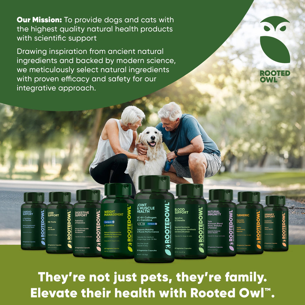 Joint & Muscle Health (Medium & Large Dogs)