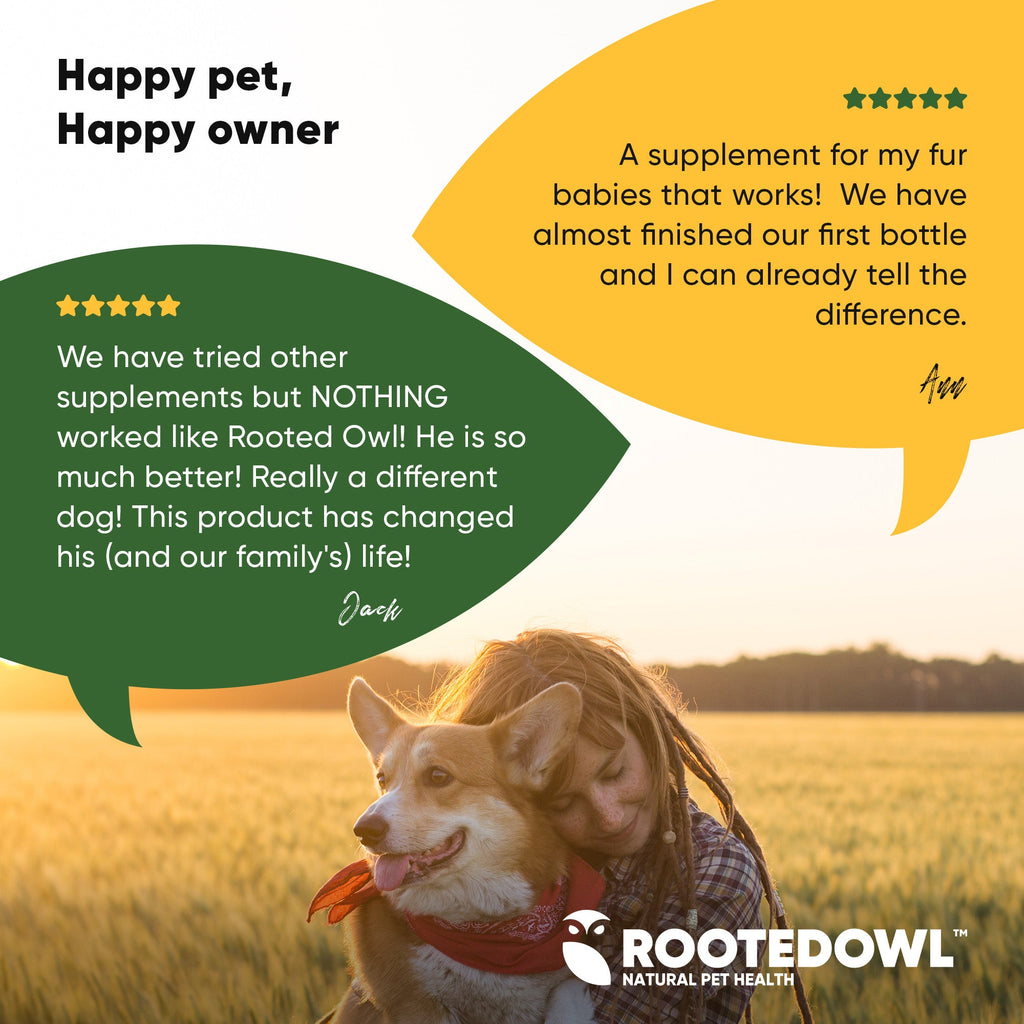 Joint & Muscle Health (Medium & Large Dogs)