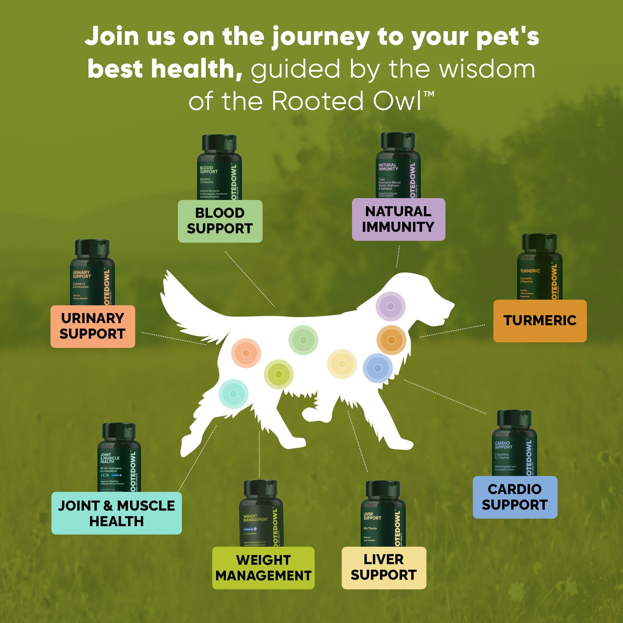 Joint & Muscle Health (Medium & Large Dogs)