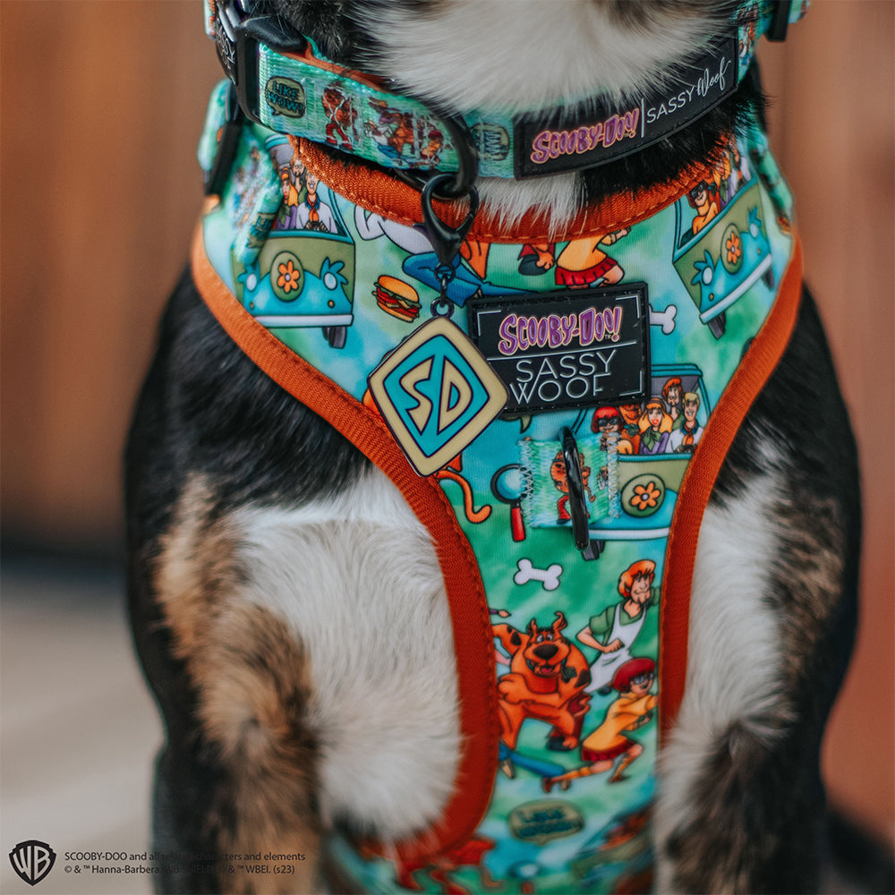 Dog Adjustable Harness - Scooby-Doo™
