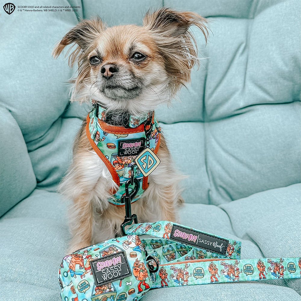 Dog Adjustable Harness - Scooby-Doo™