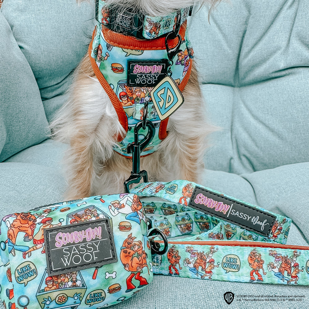 Dog Adjustable Harness - Scooby-Doo™