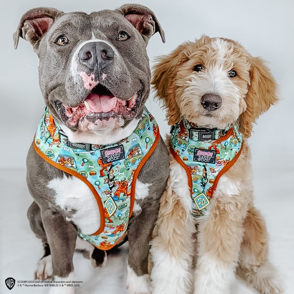 Dog Adjustable Harness - Scooby-Doo™