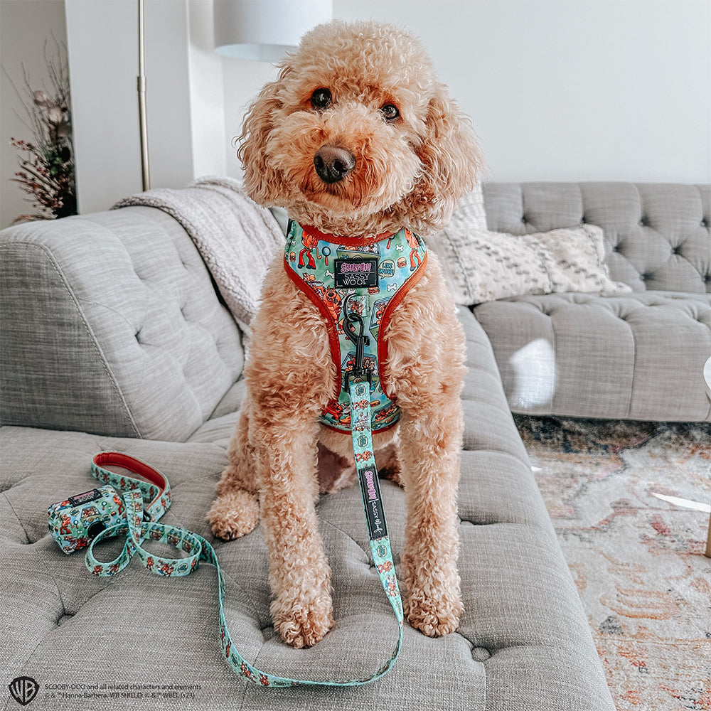 Dog Adjustable Harness - Scooby-Doo™