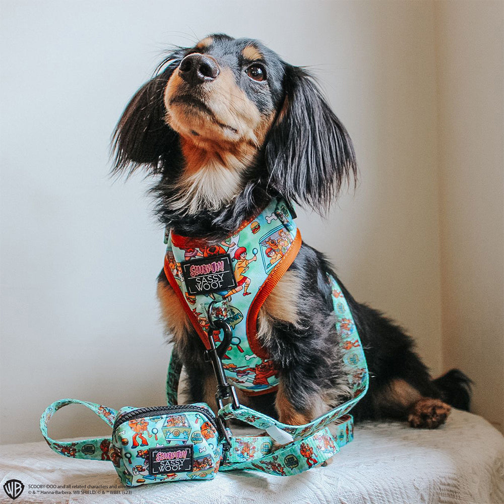 Dog Adjustable Harness - Scooby-Doo™