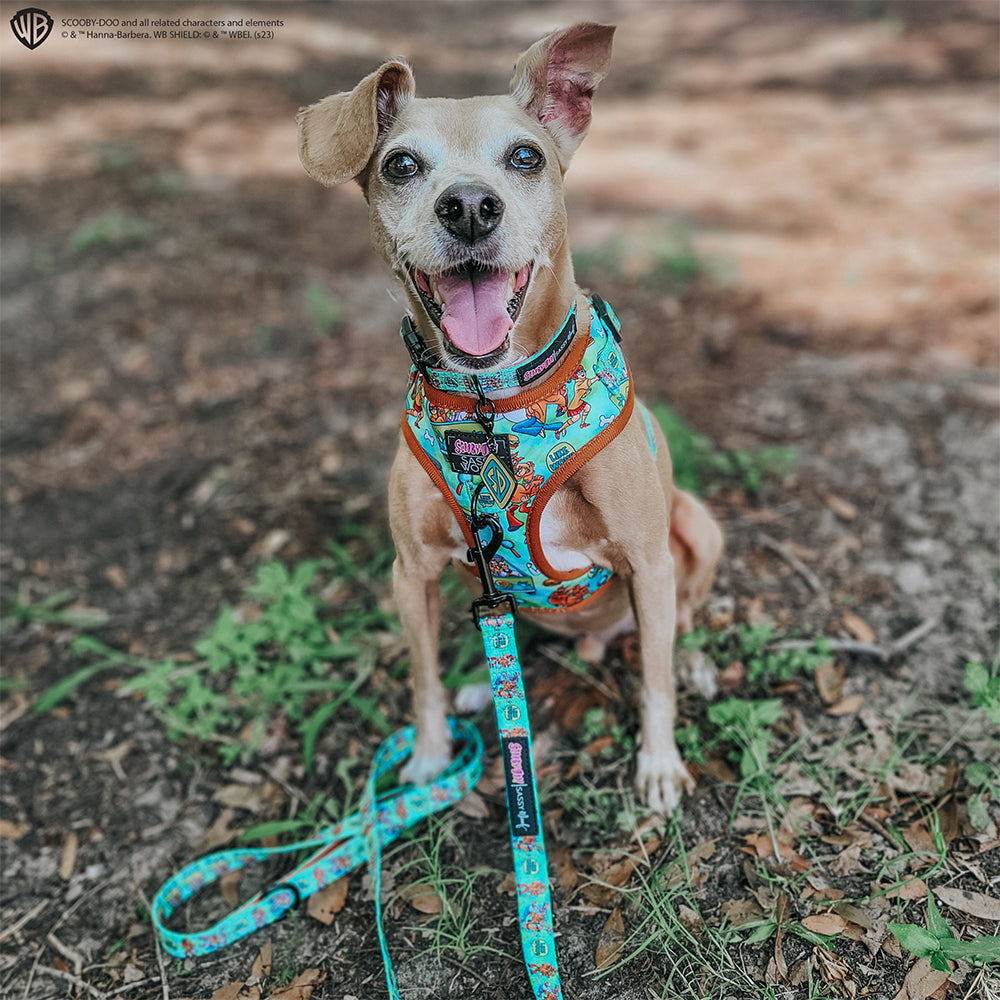 Dog Adjustable Harness - Scooby-Doo™