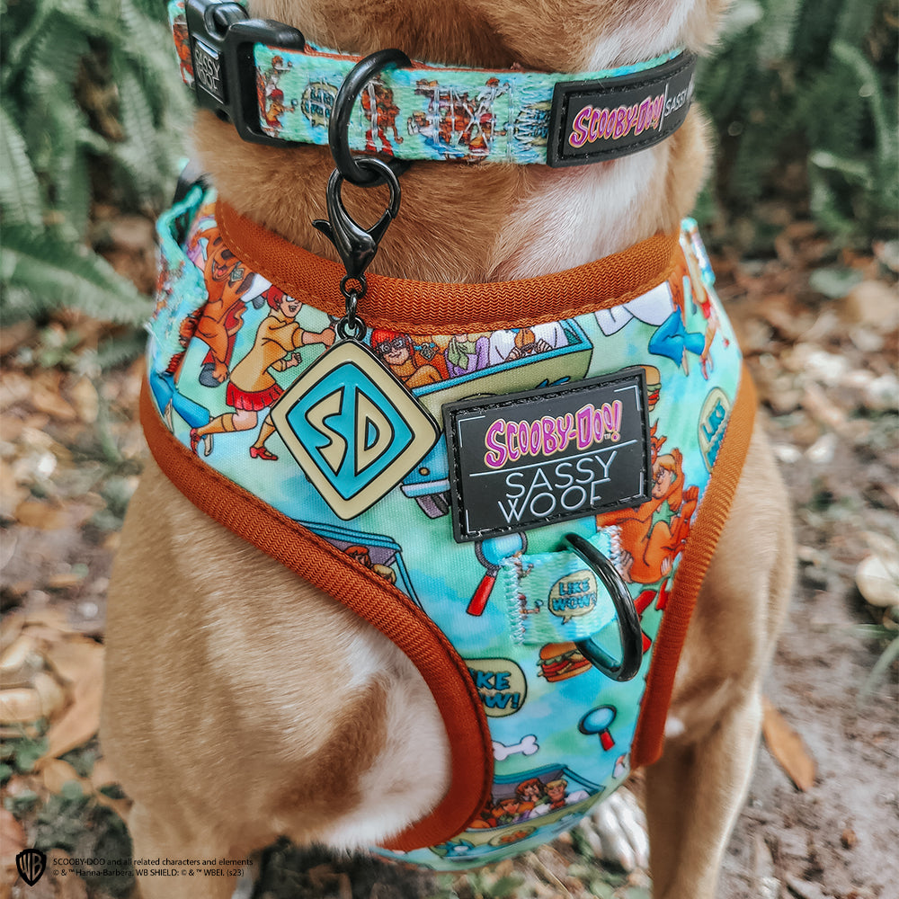 Dog Adjustable Harness - Scooby-Doo™