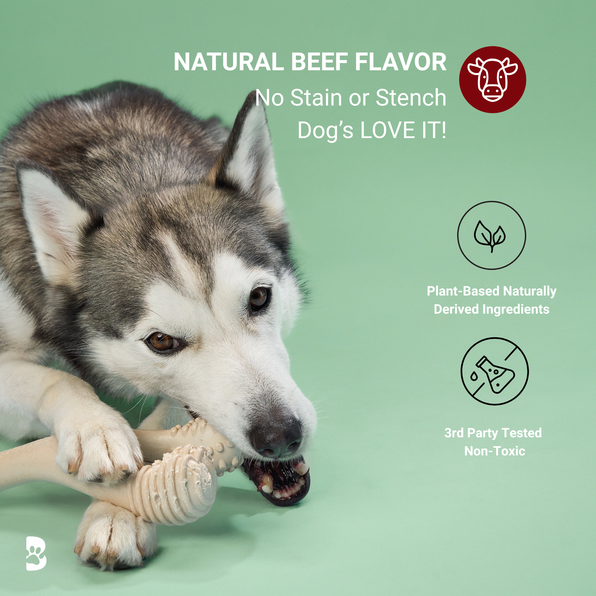 BetterBone MODERATE Chew Toy