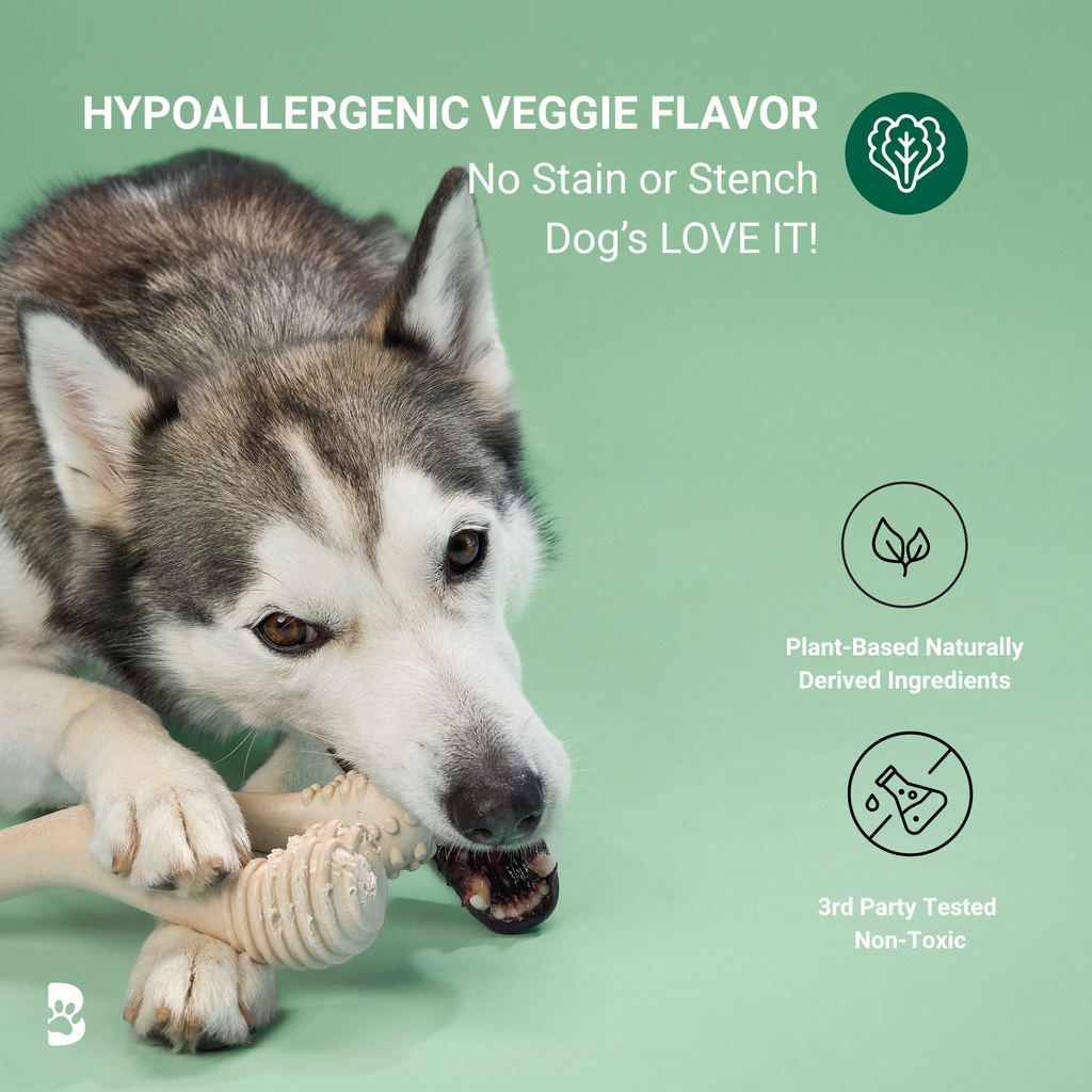 BetterBone MODERATE Chew Toy