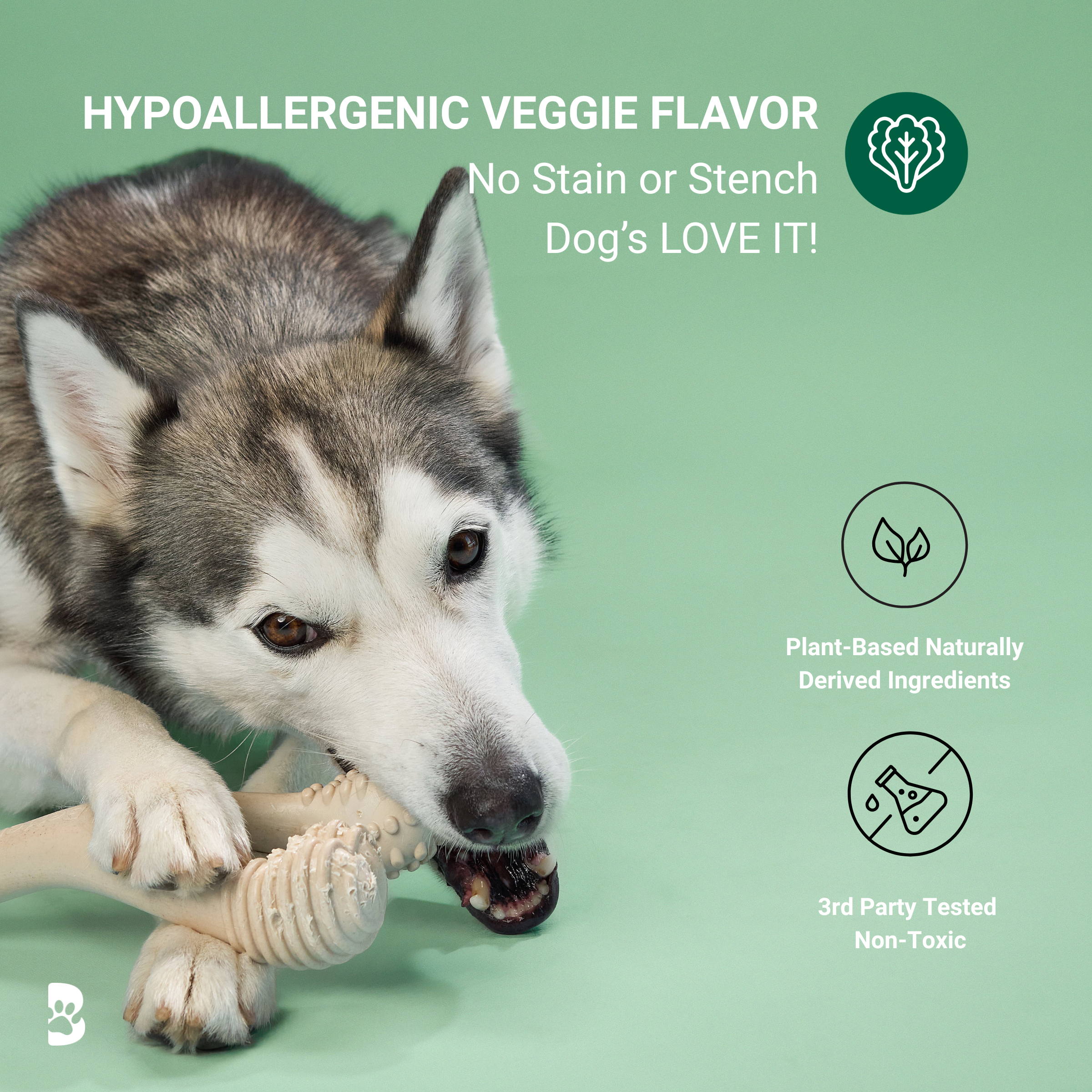 BetterBone MODERATE Chew Toy