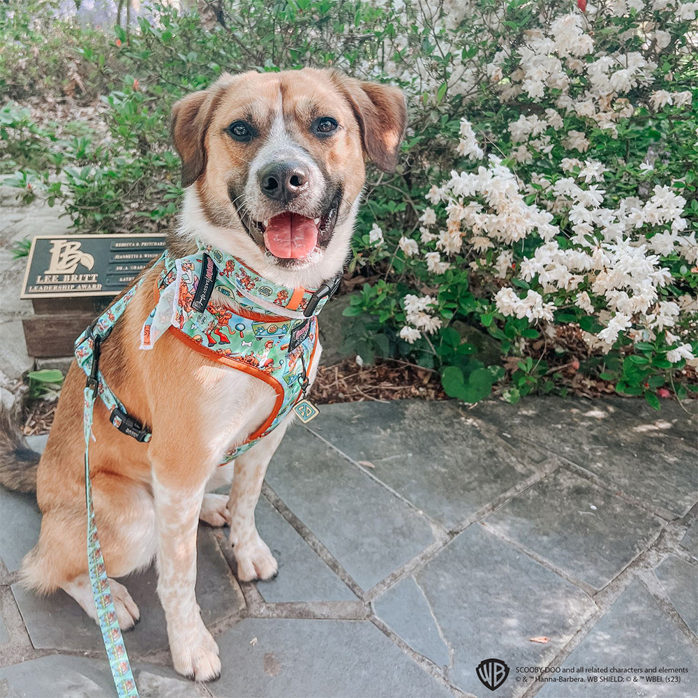 Dog Adjustable Harness - Scooby-Doo™