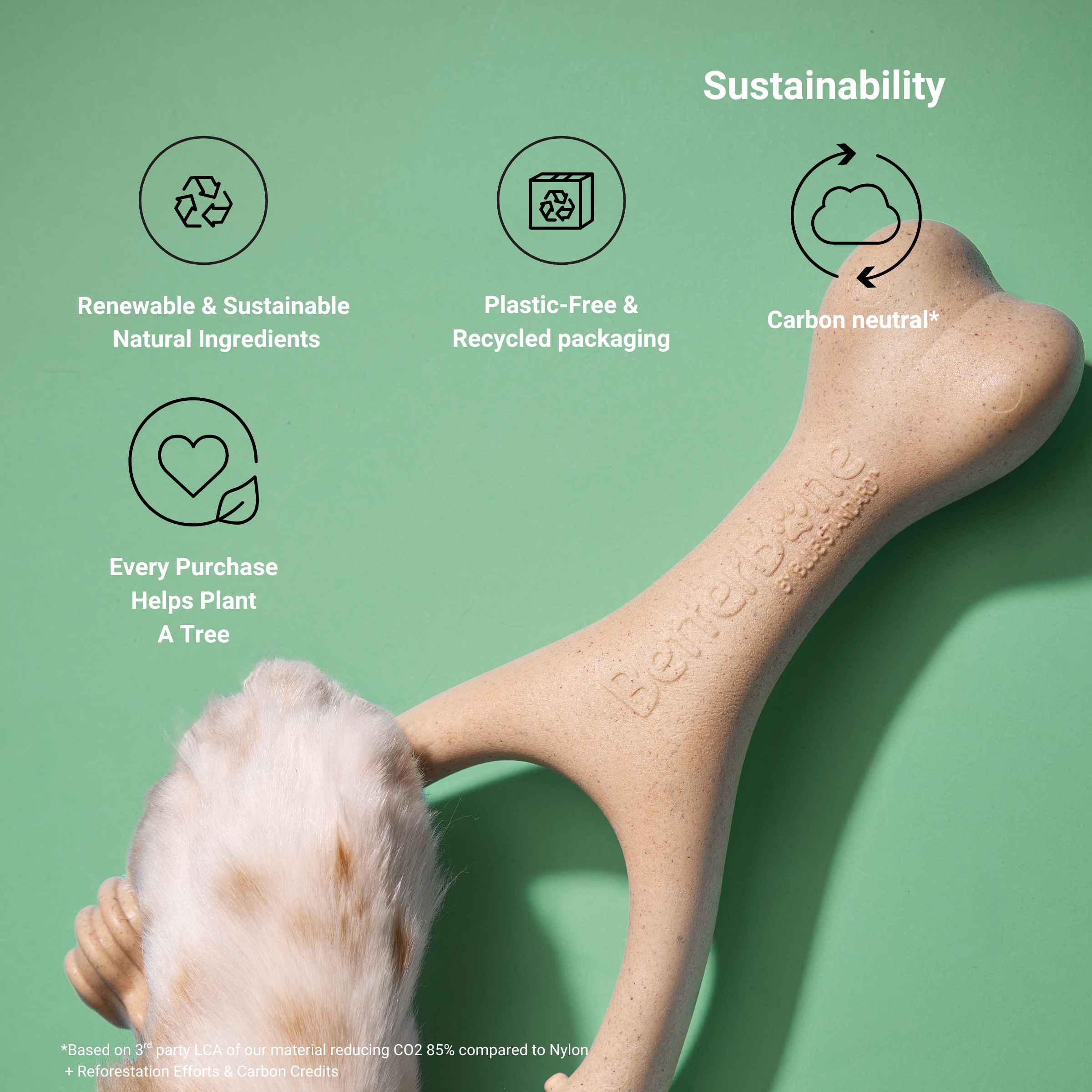 BetterBone MODERATE Chew Toy
